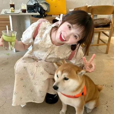 朋友与鳄鱼